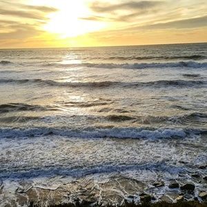 Meet your Posher, Lindsay :)